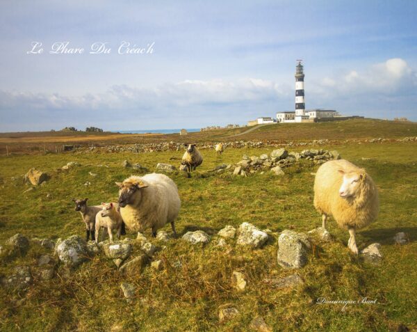 Le phare du Créach
