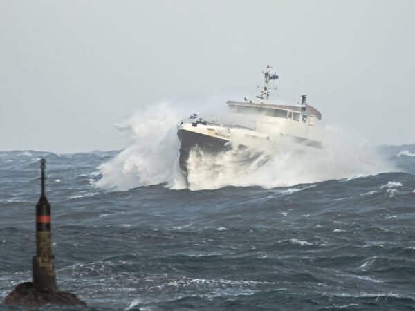 Le Fromveur II